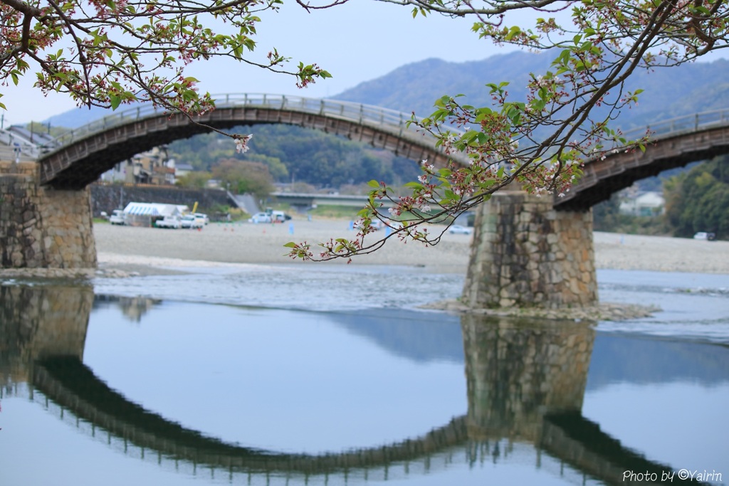 桜散る
