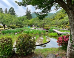 城山花菖蒲園