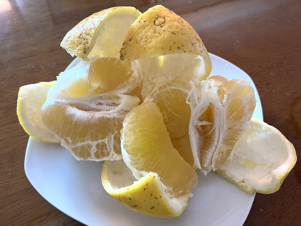 ビタミンC補給