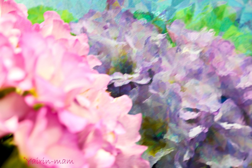 花を楽しむ