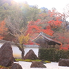 永興寺庭