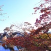 紅葉狩り日和