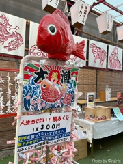 鯛みくじ
