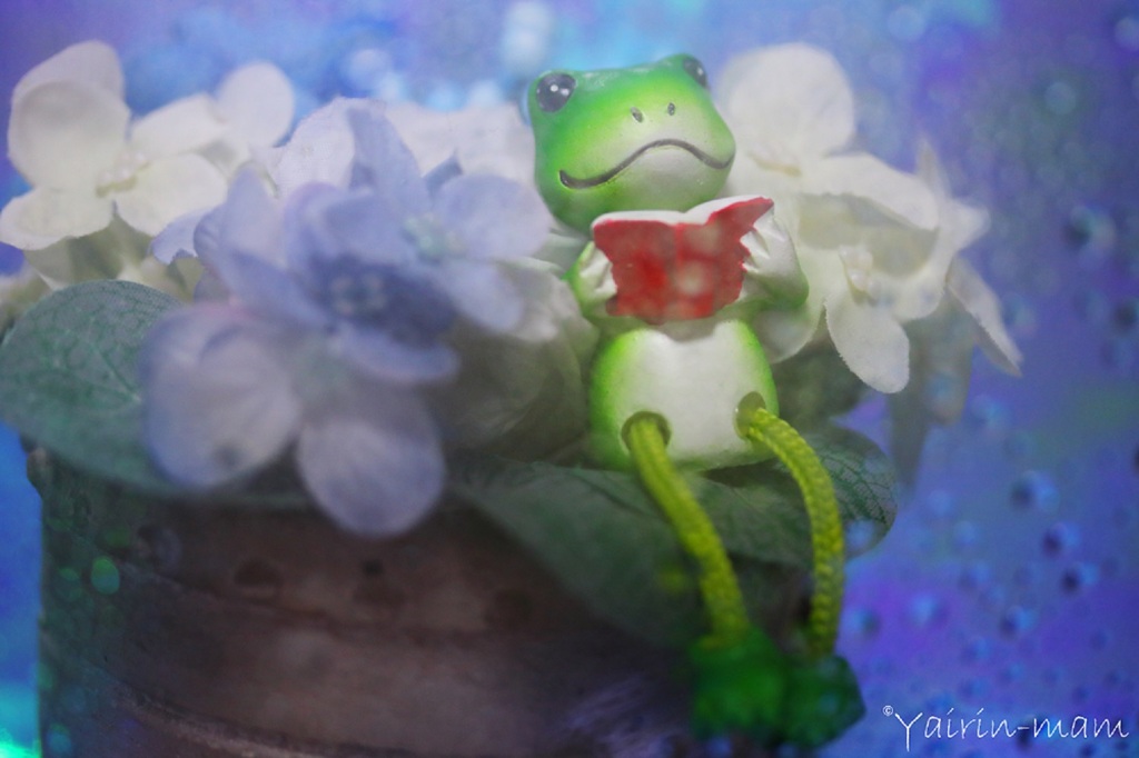 梅雨入り