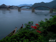 雨の錦帯橋
