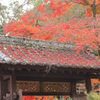 屋根まで紅く