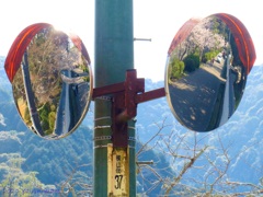 違和感