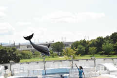 0568 一生懸命ぴょんっ