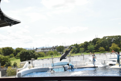 0567 隅っこでぴょんっ