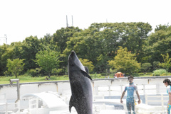 0564 縦ぴょんっ
