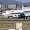 イルカ