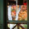 紅葉『ガラスの中の秋』