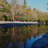 伊勢神宮　五十鈴川