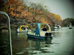 井の頭公園　ボート