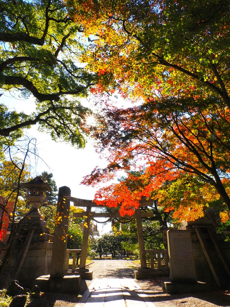 秋晴れの京都御所