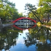 住吉大社　橋