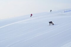 『シュプール』を描く