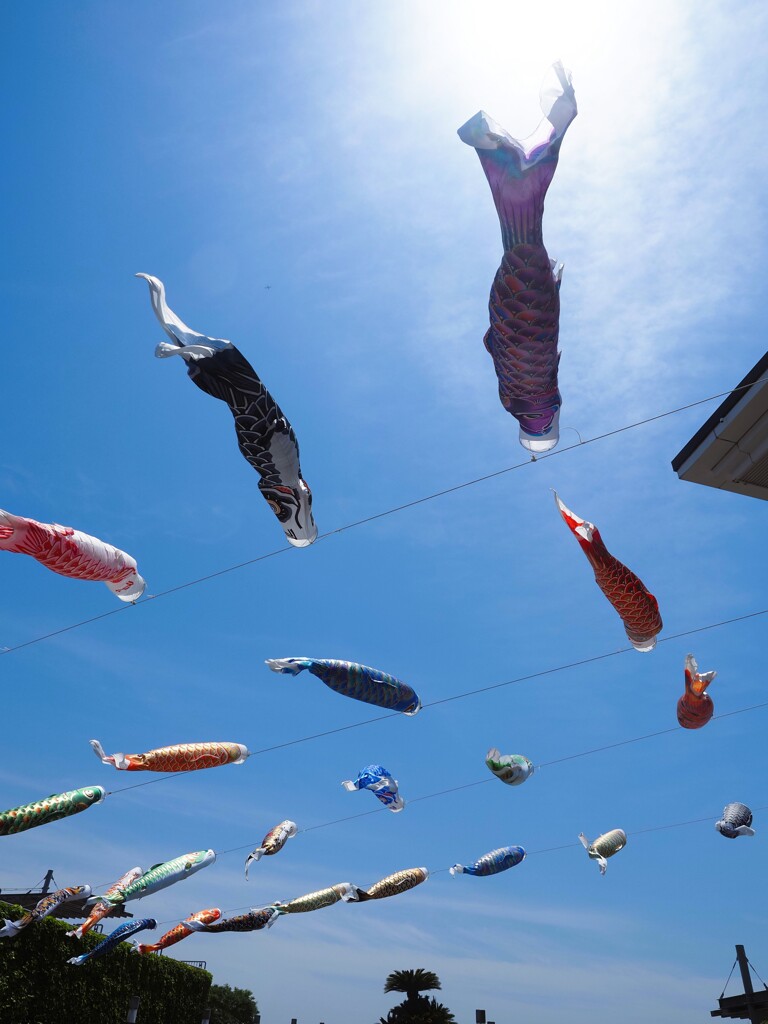 空を泳ぐ　Ⅰ
