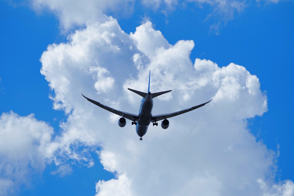 雲と飛行機Ⅴ