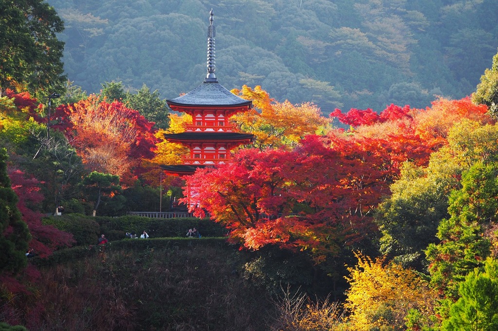 朝日が差し込む