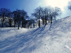 雪のキャンバス　光と影Ⅰ