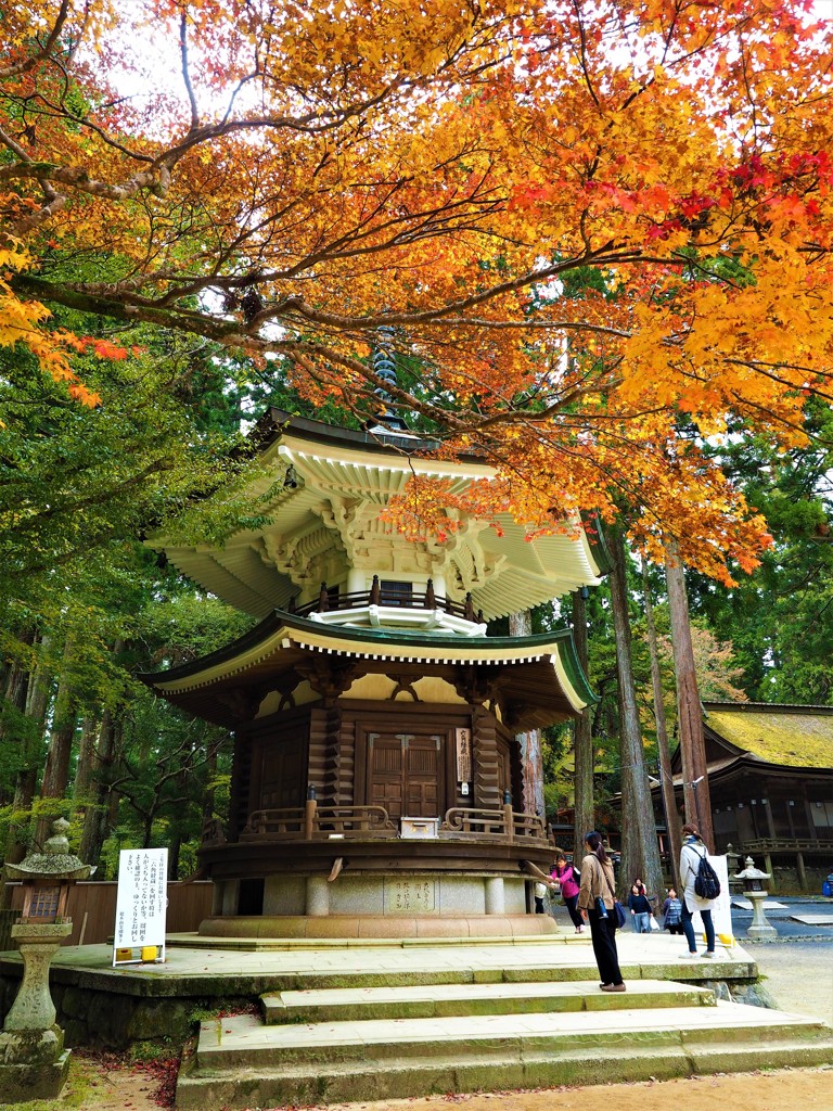 高野山の秋　回せ～