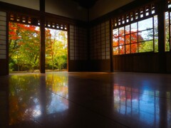 閑院宮邸跡の床モミジ