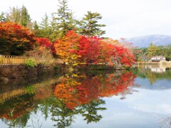 蓼科湖の秋Ⅰ