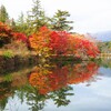 蓼科湖の秋Ⅰ