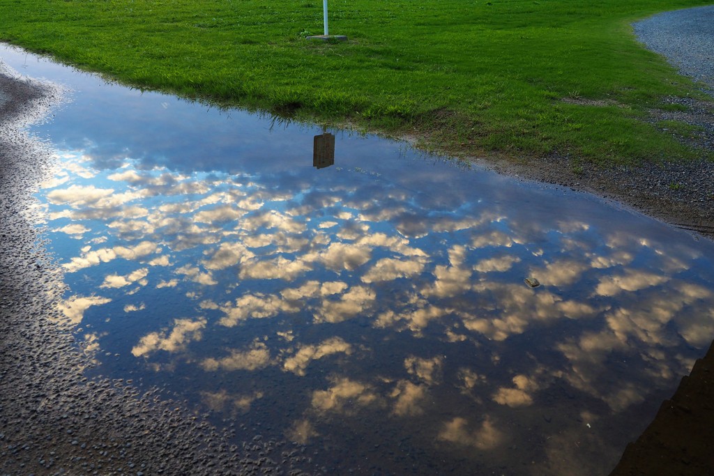 地上の羊雲