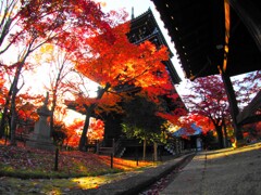 京都真正極楽寺