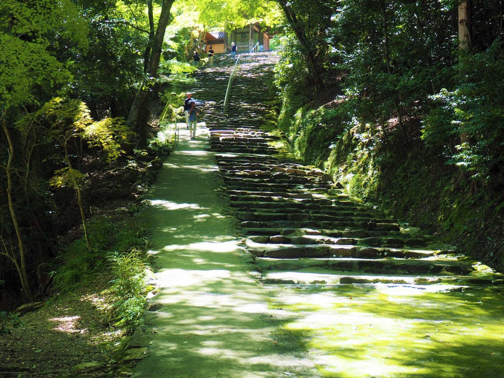 夏の階段・・もう少し。