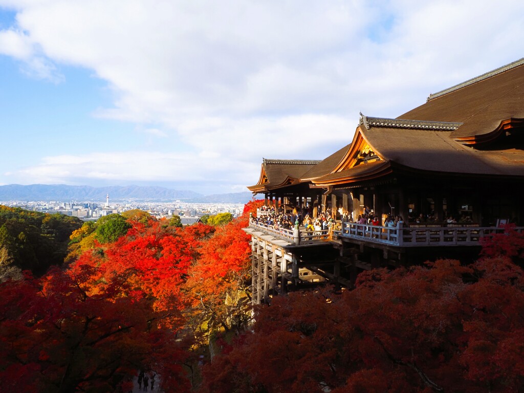 朝日が清水の舞台を照らす