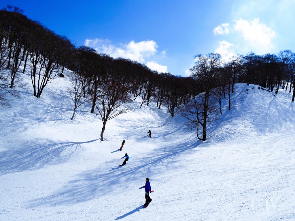 雪のキャンバス　光と影Ⅲ