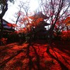 紅葉の絨毯Ⅱ　真如堂『三重塔』