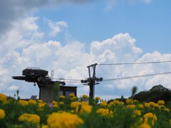 夏の雲