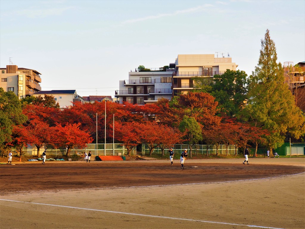 グラウンドの紅葉