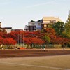 グラウンドの紅葉