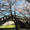 眼鏡橋をくぐっても桜