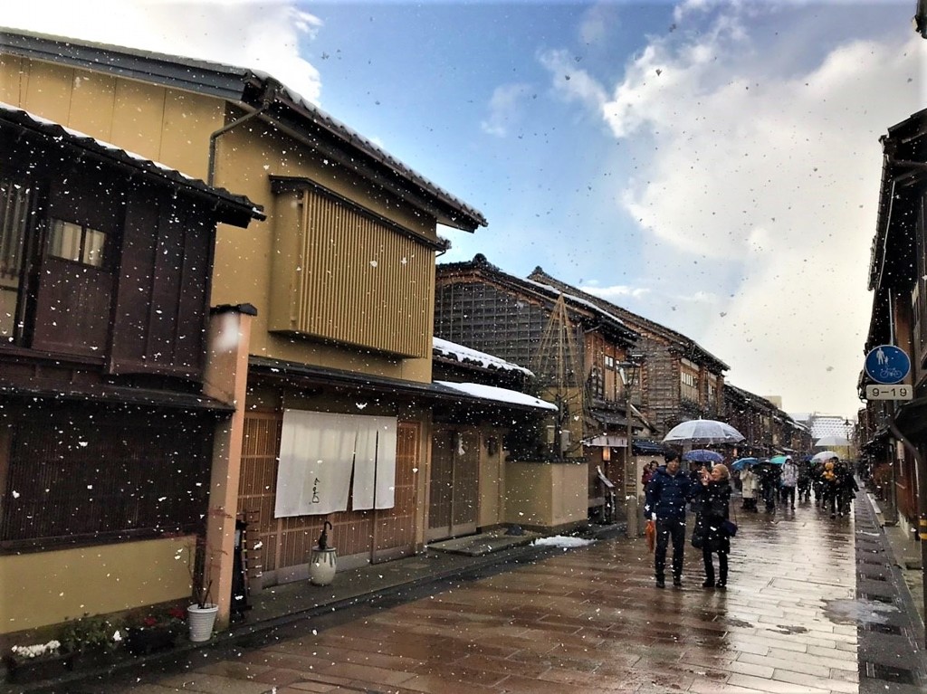 金沢　牡丹雪　（息子撮影）