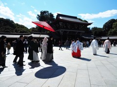 赤い傘　結婚式　明治神宮