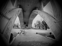 橋の下と自転車