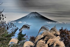 FUJI　SUSUKI