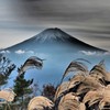 FUJI　SUSUKI