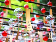 風鈴寺の風鈴（短冊）