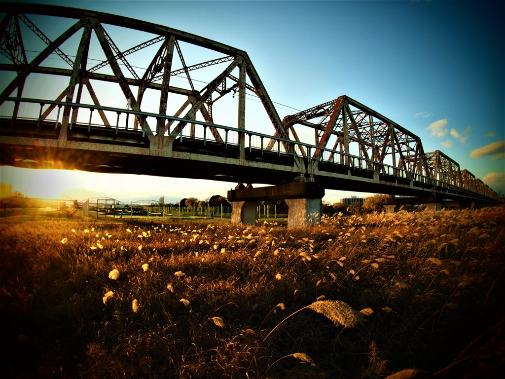 鉄橋　と　そよぐすすき　