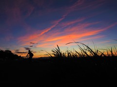 夕暮れ　風と　チャリチャリ