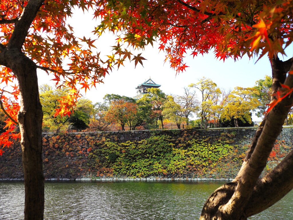 紅葉の大阪城Ⅰ