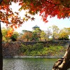 紅葉の大阪城Ⅰ