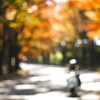 秋『バイクで街路樹を通る』